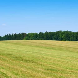 Field-Mowing