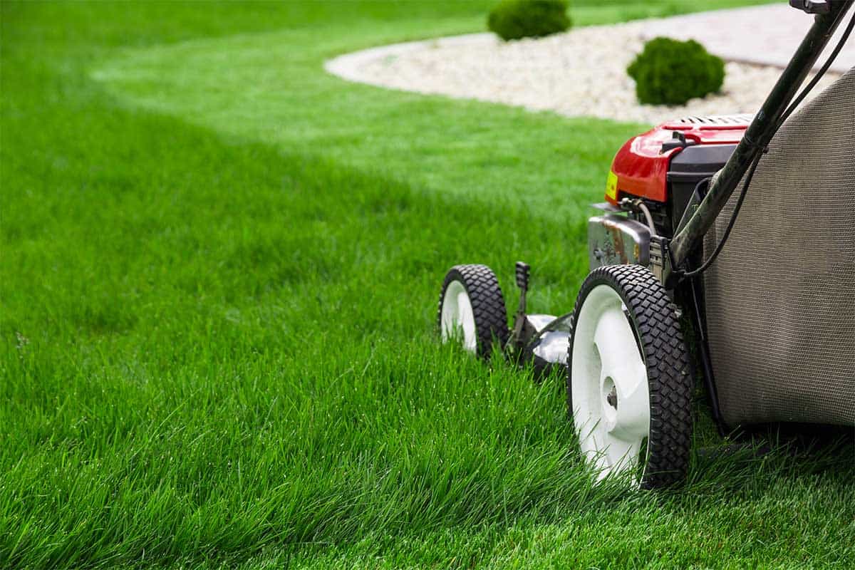 landscape-maintenance Yard Maintenance Services | Lawn Care | Landscape Maintenance La Center WA